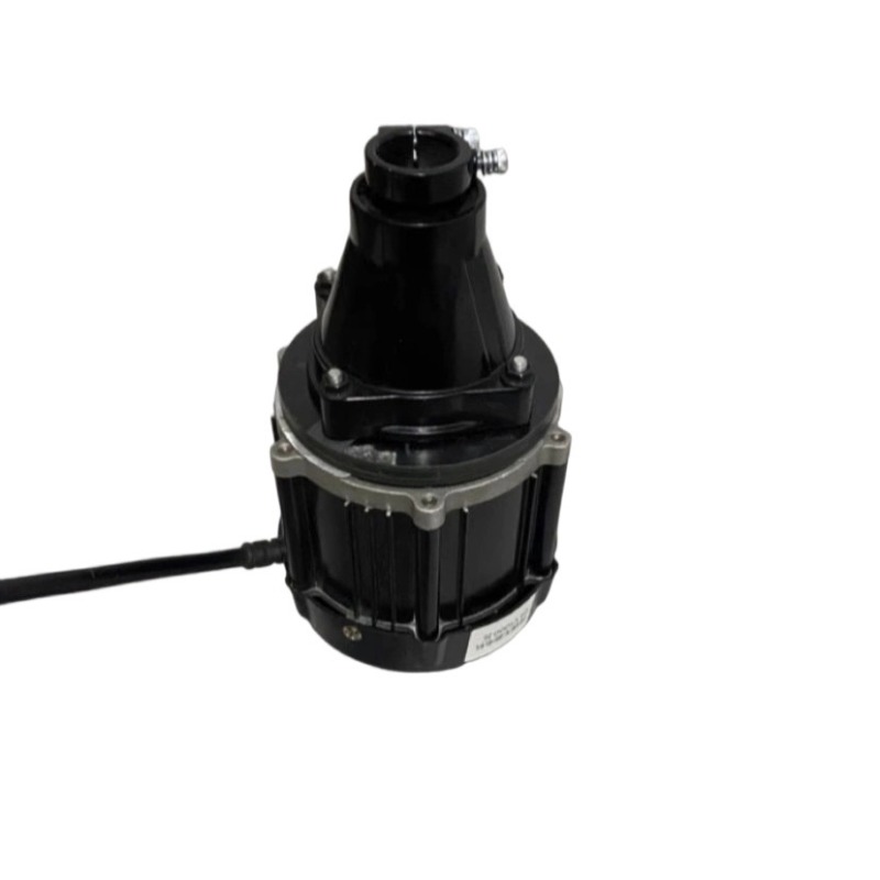 12V-60V 500W-1500W ブラシレス船外機 釣り - Fishing Boat Trailer のレビューと価格